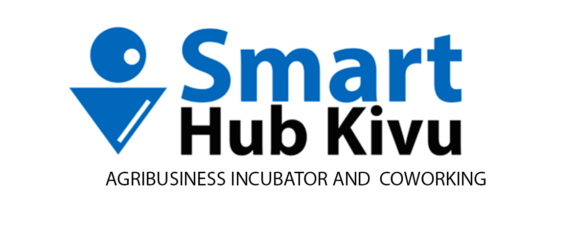 Smart Hub Kivu